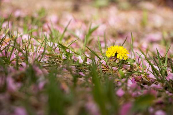 image048.jpg