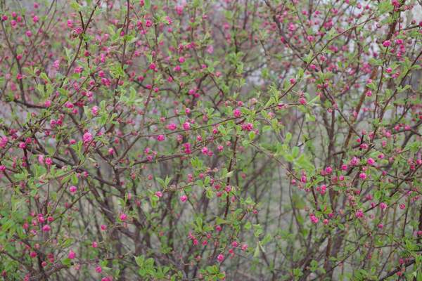 image040.jpg