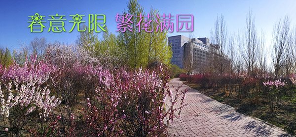 8 - 副本.jpg
