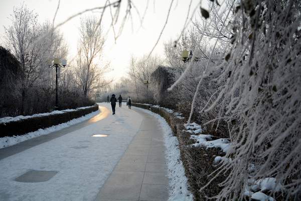 image021.jpg