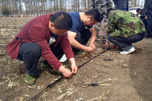 12改造农场水稻滴灌系统.JPG