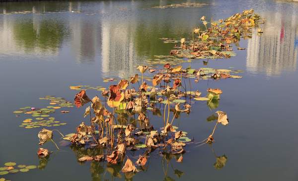 image020.jpg