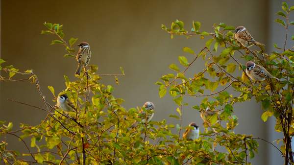 image003.jpg